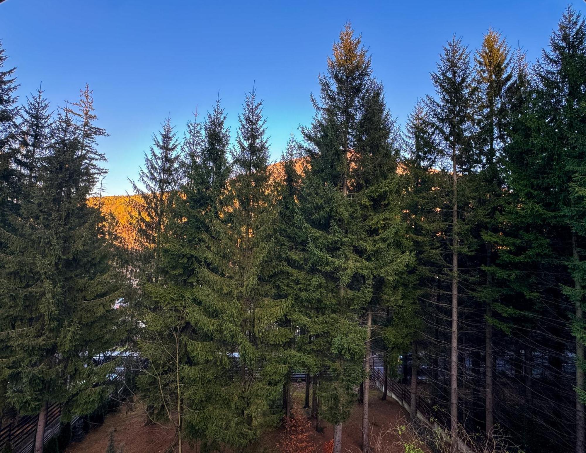 Impala Sinaia - Gazelle Apartment Екстериор снимка